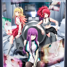Shuumatsu no Harem 11